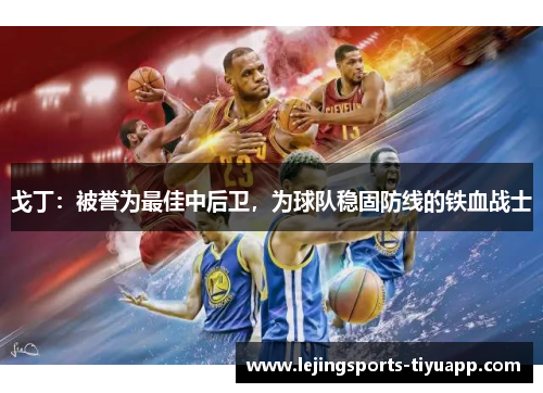 戈丁：被誉为最佳中后卫，为球队稳固防线的铁血战士