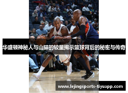 华盛顿神秘人与山猫的较量揭示篮球背后的秘密与传奇